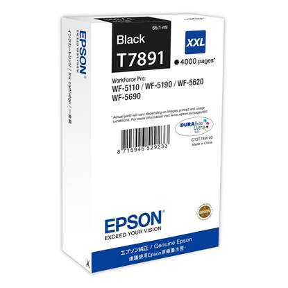 Epson Μελάνι Inkjet T789 XXL Black (C13T789140)