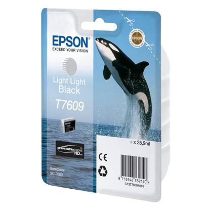 Epson Μελάνι Inkjet T7609 Light Light Black (C13T76094010)