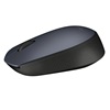 Logitech M170 Optical Mouse (910-004642) (LOGM110)