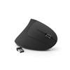 MediaRange Ergonomic 6-button wireless optical mouse for right-handers (Black, Wireless) (MROS232)