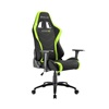 Sharkoon Skiller SGS2 gaming chair Iron Black/Green (SGS2GR) (SHRSGS2GR)
