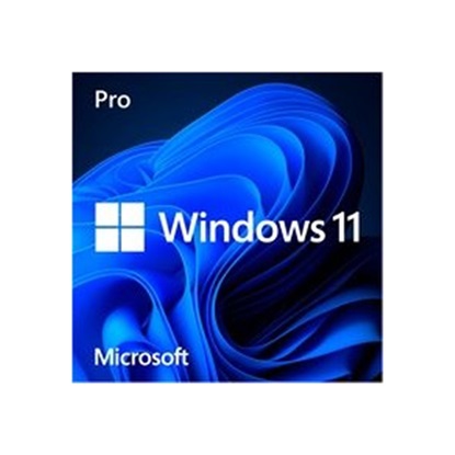 Microsoft Windows 11 Pro 64bit English DSP (FQC-10528) (MICFQC-10528)-MICFQC-10528