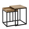Σετ Μεταλλικά Βοηθητικά Τραπέζια Nesting 40 x 45 x 55 cm 2 τμχ Vasagle (LNT02N) (VASLNT02N)-VASLNT02N