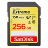 SanDisk 256GB Extreme SDXC UHS-I card (SDSDXVV-256G-GNCIN) (SANSDSDXVV-256G-GNCIN)-SANSDSDXVV-256G-GNCIN