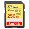 Sandisk Exrteme SDXC 256GB Class 10 U3 V30 UHS-I (SDSDXWV-256G-GNCIN) (SANSDSDXWV-256G-GNCIN)-SANSDSDXWV-256G-GNCIN