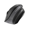 Cherry MW 4500 wireless Mouse black (JW-4500) (CHRJW4500)-CHRJW4500