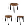 Vasagle Set of 3 Nesting Coffee Table (LNT14BX) (VASLNT14BX)-VASLNT14BX