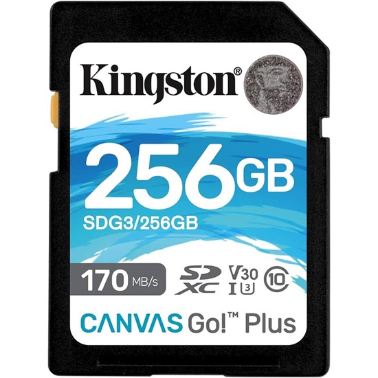 Kingston Canvas Go Plus SDXC 256GB Class 10 U3 V30 UHS-I (SDG3/256GB) (KINSDG3-256GB)-KINSDG3-256GB