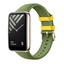 Xiaomi Smart Band 7 Pro Strap Pine Green (BHR6668GL) (XIABHR6668GL)-XIABHR6668GL