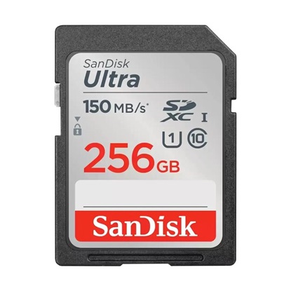 Sandisk Ultra SDXC UHS-I 256GB (SDSDUNC-256G-GN6IN) (SANSDSDUNC-256G-GN6IN)-SANSDSDUNC-256G-GN6IN