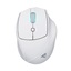 Sharkoon OfficePal M25W White (OFFPALM25WWH) (SHROFFPALM25WWH)-SHROFFPALM25WWH