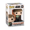 Funko Pop! TV: Star Wars: The Mandalorian - Luke Skywalker with Grogu #482 (FNK82902)-FNK82902