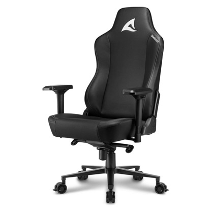 Sharkoon SKILLER SGS40 Black (30682) (SHR30682)-SHR30682
