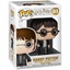 Funko Pop! Movies: Harry Potter - Harry Potter #01 (FNK58586)-FNK58586