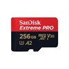 SANSDSQXCD-256G-GN6MA