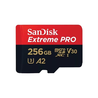 SANSDSQXCD-256G-GN6MA