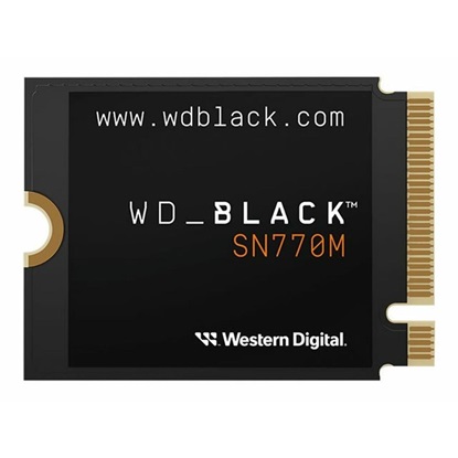 WesternDigital SSD SN770M 1TB Black M.2 NVMe PCI Express 4.0 (WDS100T3X0G)-WDS100T3X0G