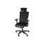 Genesis Ergonomic Chair Astat 700 G2 Black (NFG-1945) (GNSNFG-1945)-GNSNFG-1945