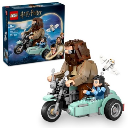 Lego Harry Potter Hagrid And Harry's Motorcycle Ride (76443) (LGO76443)-LGO76443