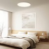Xiaomi Smart Ceiling Light D30 (BHR9934GL) (XIABHR9934GL)-XIABHR9934GL