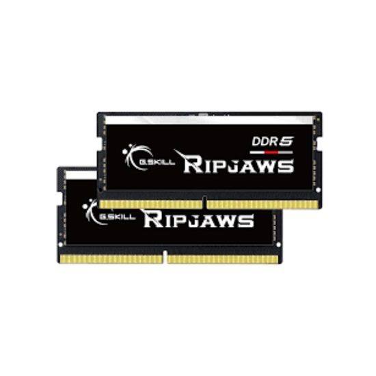 G.Skill Ripjaws DDR5 32GB RAM με 2x16GB Modules και Ταχύτητα 4800 για Laptop (F5-4800S4039A16GX2-RS)-GSKF5-4800S4039A16GX2-RS