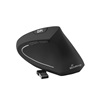 MediaRange Ergonomic 6-button wireless optical mouse for right-handers (Black, Wireless) (MROS232)-MROS232