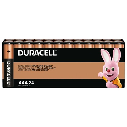 Duracell Basic LR03 AAA alkaline battery (carton) (DUR19345)-DUR19345