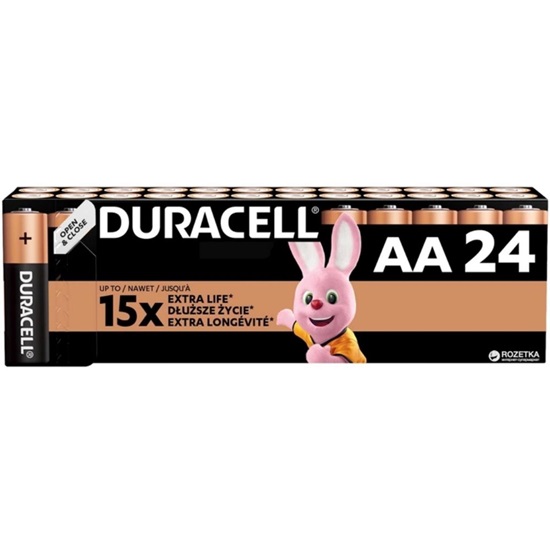 Duracell Basic LR6 AA alkaline battery (carton) (DUR19342)-DUR19342