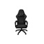 Fury Gaming Chair Shinai S4 Black (NFF-2363) (FURNFF-2363)-FURNFF-2363