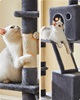 Feandrea Cat Tower XXl, Height 206 cm, up to 6 Cats, Σκούρο Γκρι (PCT190G01) (FEAPCT190G01)-FEAPCT190G01
