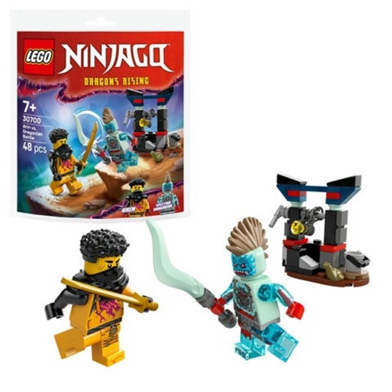 Lego Ninjago Arin's Duel with the Dragon Man Polybag (30700) (LGO30700)-LGO30700