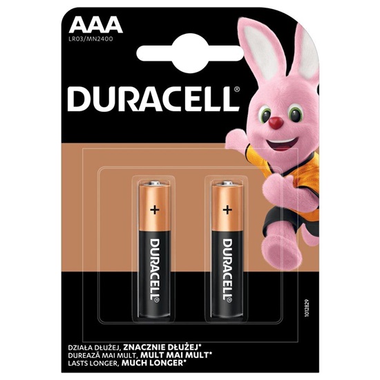 Duracell Basic MN2400 LR03 AAA Alkaline Battery (blister) - 2 pieces (DUR20367)-DUR20367