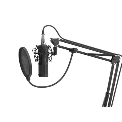 Genesis Gaming Microphone Radium 300 Studio XLR Arm Popfilter (NGM-1695) (GNSNGM-1695)-GNSNGM-1695