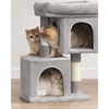 Feandrea Cat Tower, Height 67 cm, up to 2 small cats (PCT611W01) (FEAPCT611W01)-FEAPCT611W01