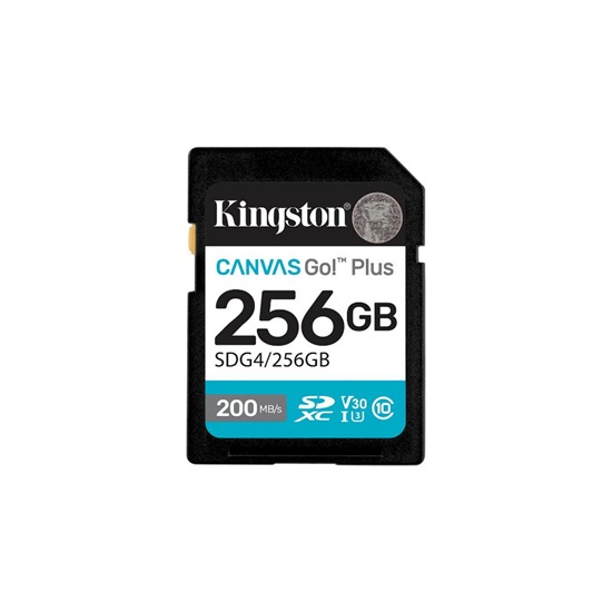 Kingston SD 256GB Canvas Go Plus 200/MB/s C10 U3 V30 (SDG4/256GB) (KINSDG4-256GB)-KINSDG4-256GB