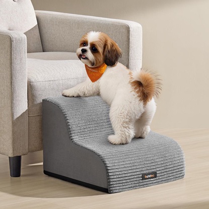 Feandrea σκάλα κατοικιδιών 2 σκαλοπατιών χρώματος Γκρί (PPS002G01) (FEAPPS002G01)-FEAPPS002G01