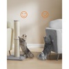Feandrea Scratch pole (στήλος ξυσίματος) Height 85 cm, Γκρί (PCA041G01) (FEAPCA041G01)-FEAPCA041G01