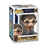 Funko Pop! Movies: Harry Potter - Harry Potter #196 (FNK02724)-FNK02724