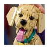Lego Icons Golden Retriever Puppy (11384) (LGO11384)-LGO11384