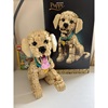 Lego Icons Golden Retriever Puppy (11384) (LGO11384)-LGO11384