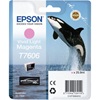 Epson Inkjet Ink Cartridge T760640 Vivid Light Magenta (C13T76064N10) (EPST76064N10)-EPST76064N10