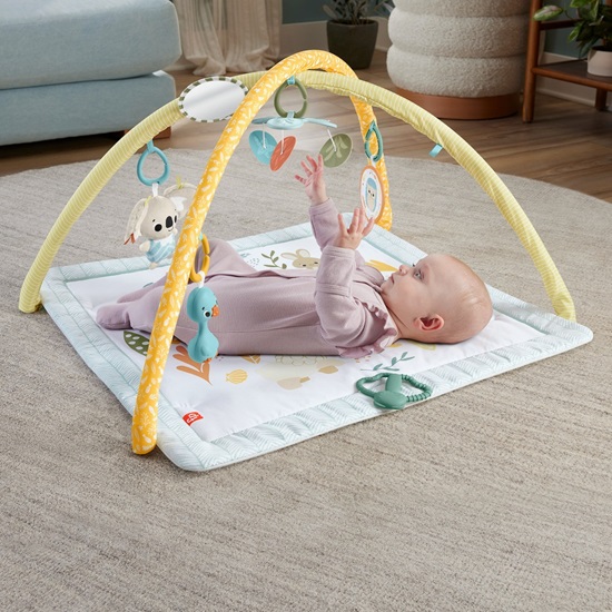 Fisher-Price Sensimals Simply Senses Newborn Gym (HRB15) (FISHRB15)