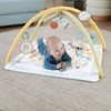 Fisher-Price Sensimals Simply Senses Newborn Gym (HRB15) (FISHRB15)