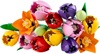 Lego Botanicals Tulip Bouquet (11501) (LGO11501)