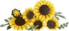 Lego Botanicals Sunflowers (11502) (LGO11502)