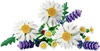 Lego Botanicals Daisies (11508) (LGO11508)