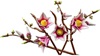Lego Botanicals Magnolia Branches (11510) (LGO11510)
