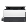 HP OfficeJet Pro 8132e All-in-One Printer (40Q45B) (HP40Q45B)