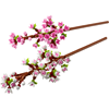 LEGO Cherry Blossoms (40725) (LGO40725)