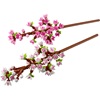 LEGO Cherry Blossoms (40725) (LGO40725)